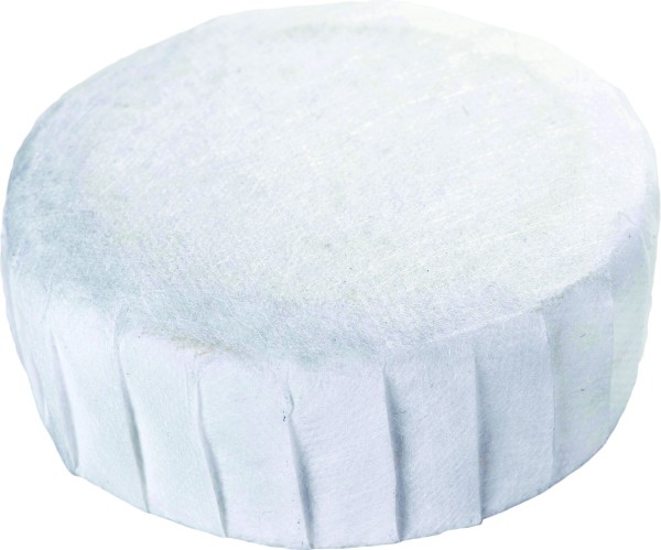Replacement Tablet for Dehumidifier 450 g